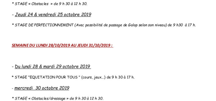 Stage Automne 2019 Stage Automne 2019